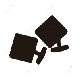 gemelli4